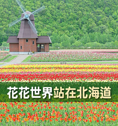 花花世界站在北海道